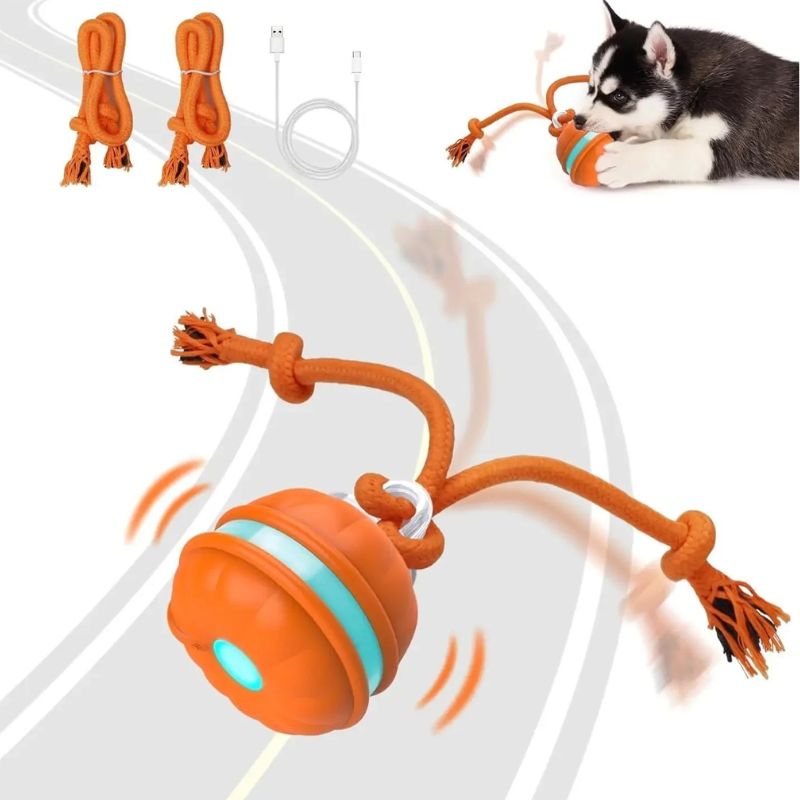 Sofolor interactive Dog Toy - Stimulating RogueBall